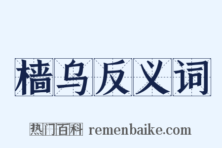 樯乌反义词是什么意思的图片